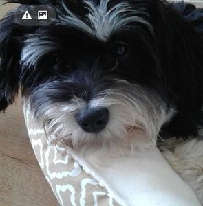 Meet your Posher, Carole